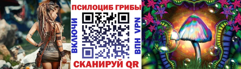 Псилоцибиновые грибы MAGIC MUSHROOMS  Петухово 